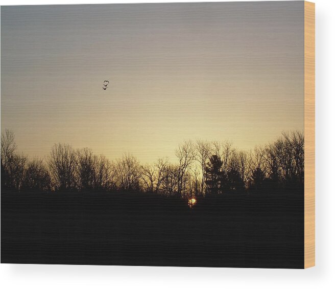 Geese Wood Print featuring the photograph Geese at Sunrise by Kent Lorentzen