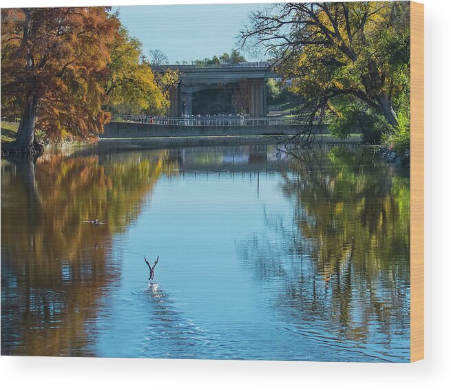 Geese Wood Print featuring the photograph Geese on Concho River by Brian Kinney