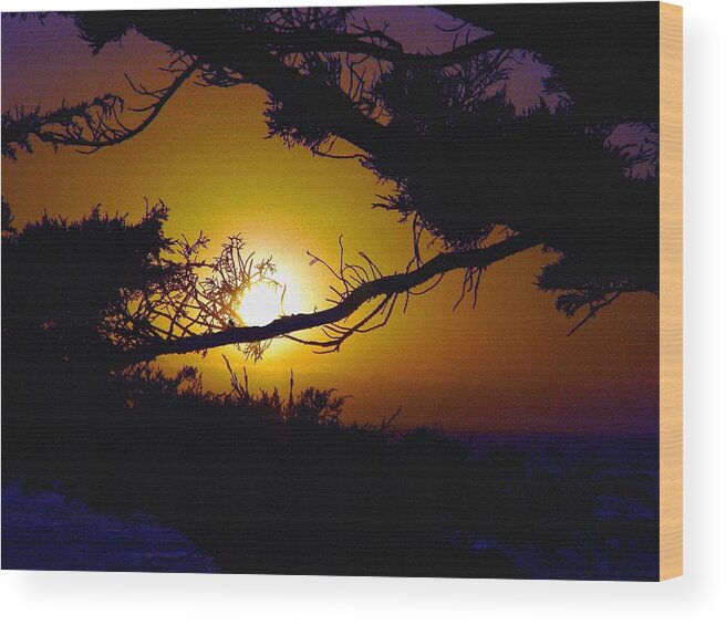 Sunset Wood Print featuring the photograph Golden Coastal Sunset by Lorrie Morrison