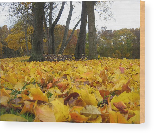 Leaf Wood Print featuring the photograph Golden Leaves by Michael McFerrin