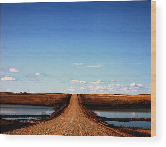  Wood Print featuring the photograph Golden Prairie by Darcy Dietrich