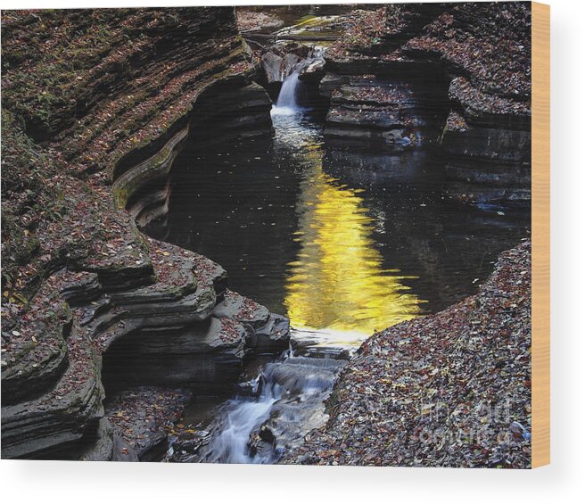 Gold Wood Print featuring the photograph Golden Water by Vilas Malankar