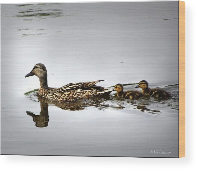 Fowl Wood Print featuring the photograph Goose and goslings by Mikki Cucuzzo