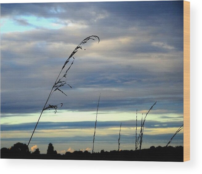 Sky Wood Print featuring the photograph Grass against abstract sky by Susan Baker