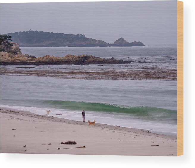 Carmel Wood Print featuring the photograph Gray Morning on Carmel Beach by Derek Dean