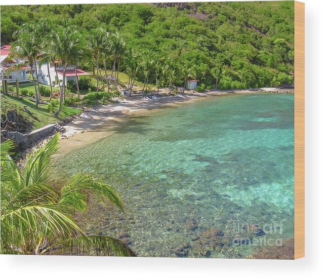 Les Saintes Wood Print featuring the photograph Guadeloupe Les Saintes by Benny Marty