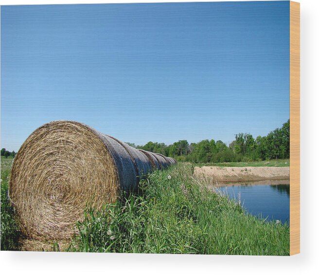 Landscape Wood Print featuring the photograph Hay Roll by Todd Zabel