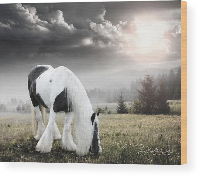 Horse Wood Print featuring the photograph Heavenly Talia by Terry Kirkland Cook