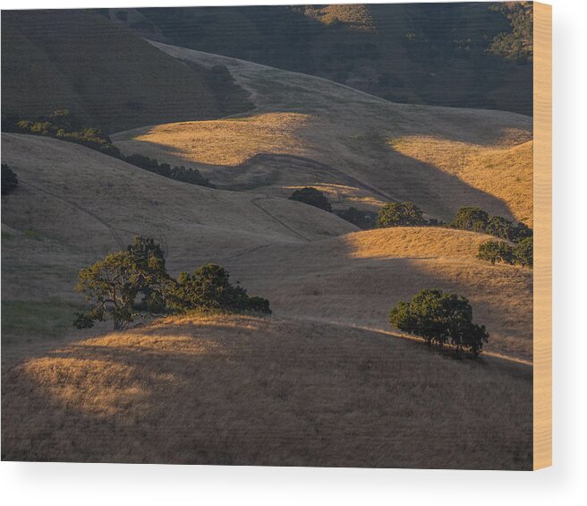 Hill Top Ranch Wood Print featuring the photograph Hill Top Ranch by Derek Dean