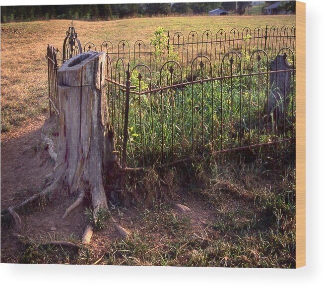  Wood Print featuring the photograph Hogeye Grave Site by Curtis J Neeley Jr