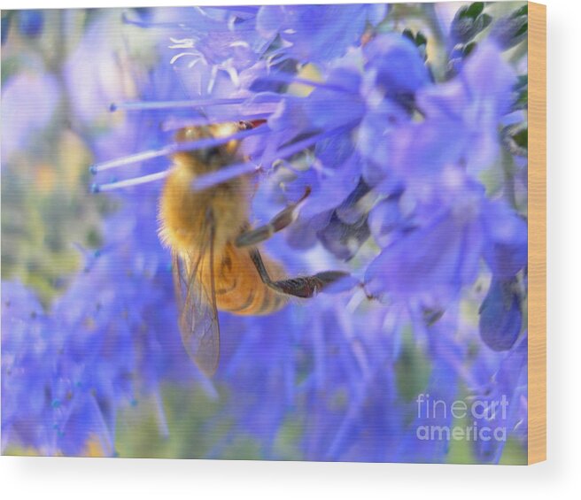 Honey Wood Print featuring the photograph Honey Bee by Joanne Young