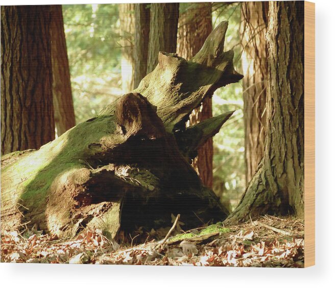 Landscape Wood Print featuring the photograph Horned Tree by Azthet Photography
