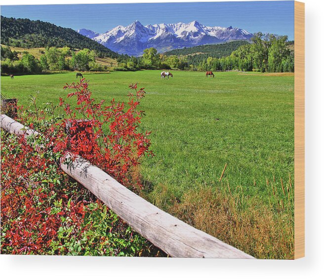 Colorado Wood Print featuring the photograph Horses in The San Juans by Scott Mahon