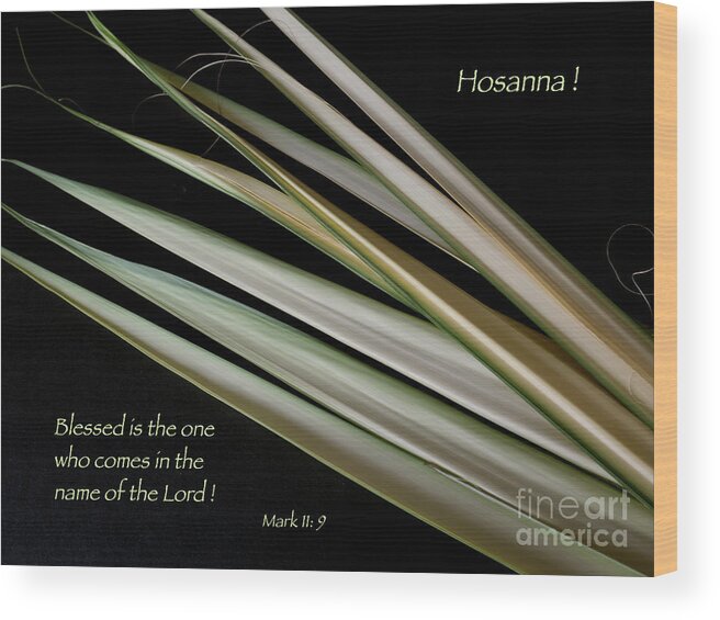 Palm Branches Wood Print featuring the photograph Hosanna by Ann Horn
