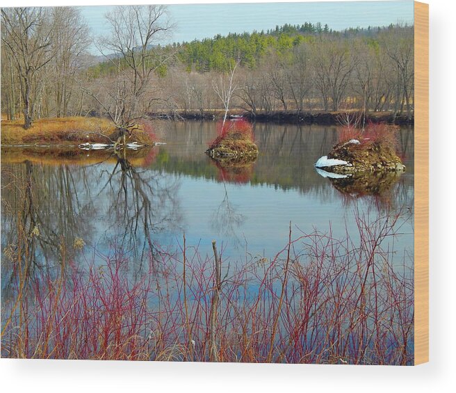 New England Landscape Wood Print featuring the photograph Housesitting 41 #1 by George Ramos