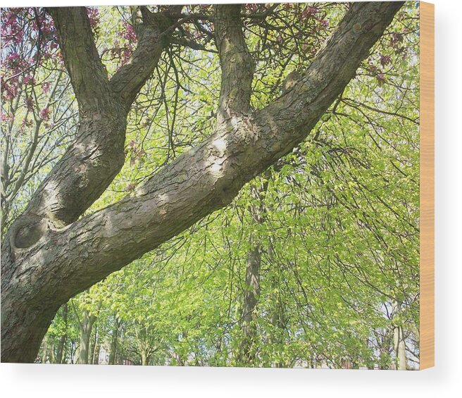 Tree Wood Print featuring the photograph I Love you Tree by Judith Desrosiers