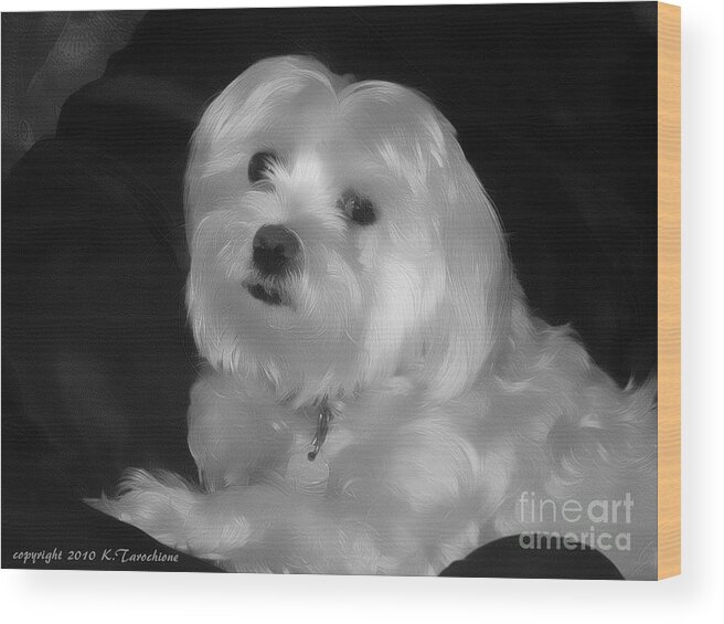Dog Wood Print featuring the digital art I'm The One For You by Kathy Tarochione