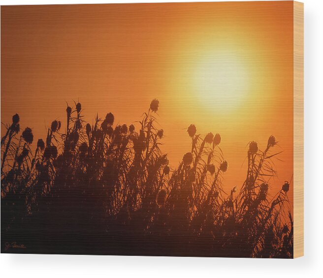 Africa Wood Print featuring the photograph Impalila Island Sunset No. 3 by Joe Bonita