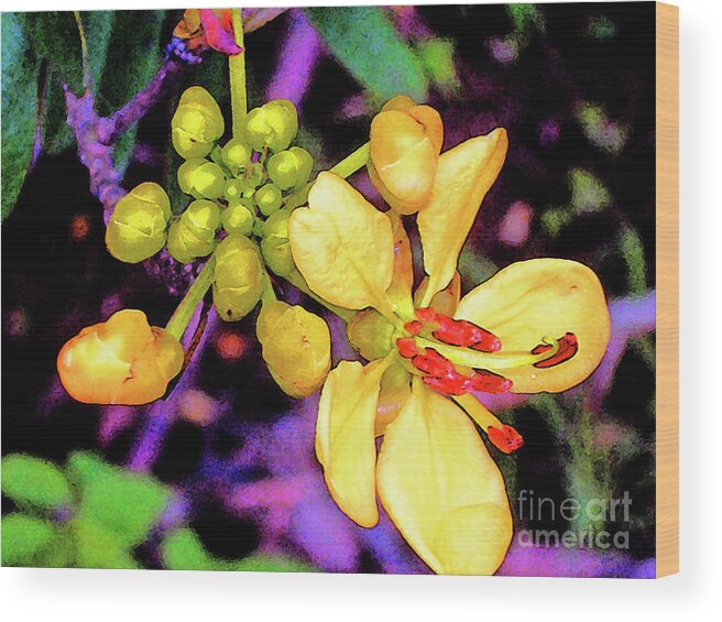 Flowers Wood Print featuring the photograph In Bloom by Elizabeth Hoskinson