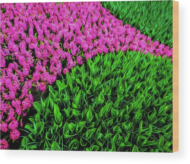 Tulips Wood Print featuring the photograph In The Pink by Paul Wear
