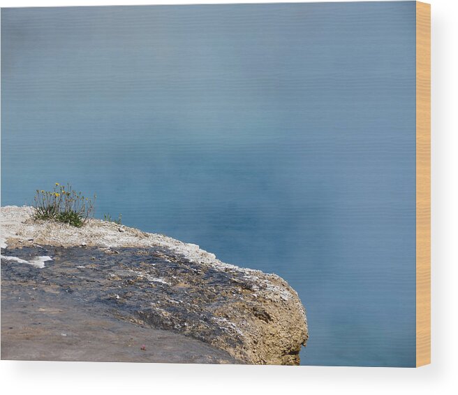 Yellowstone Wood Print featuring the photograph Into the Mist by Laurel Powell