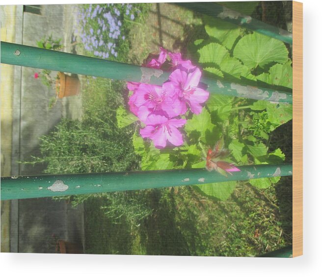 Garden Flower Wood Print featuring the photograph Inverted garden by Anamarija Marinovic