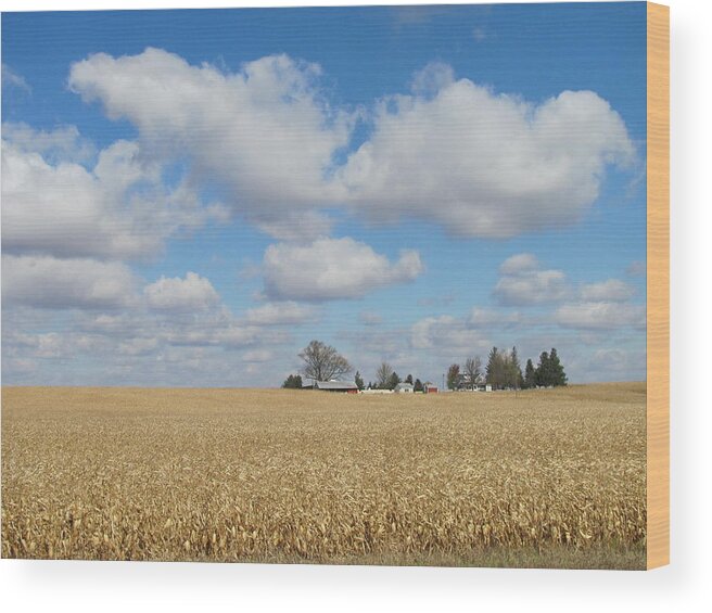 Iowa Wood Print featuring the photograph Iowa 3 by Anita Burgermeister