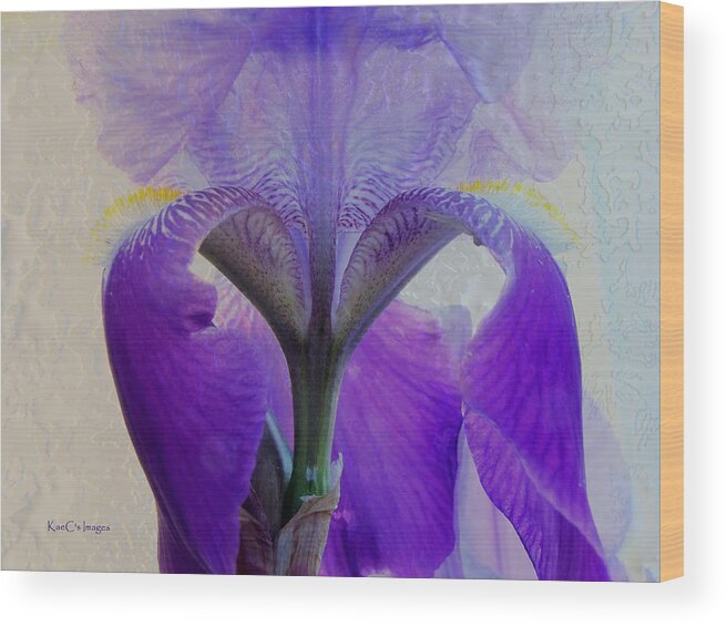 Iris Wood Print featuring the photograph Iris and Ice by Kae Cheatham