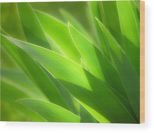 Iris Wood Print featuring the photograph Iris Leaves by Douglas Pulsipher