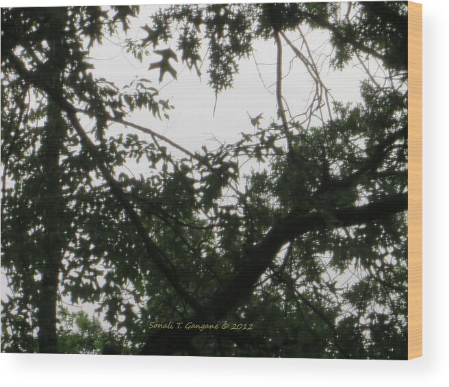 Heart Shaped Sky Wood Print featuring the photograph Is this my Heart? by Sonali Gangane