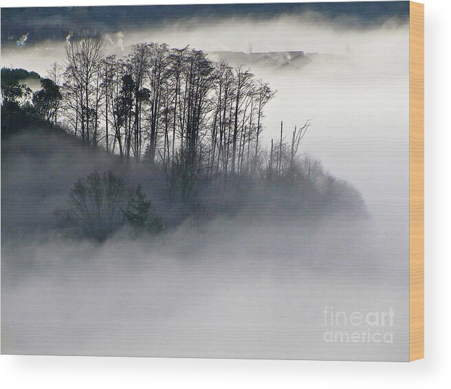 Photography Wood Print featuring the photograph Island in the Morning Mist by Sean Griffin