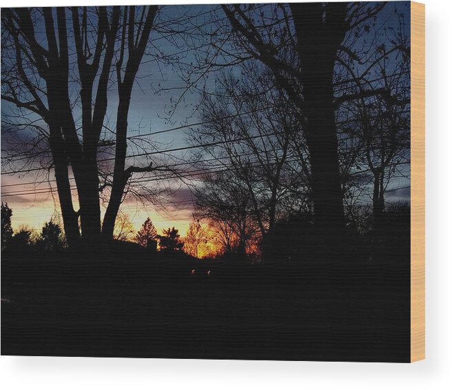 Landscape Wood Print featuring the photograph It Hasn't Rained In More Than A Week by Frank J Casella