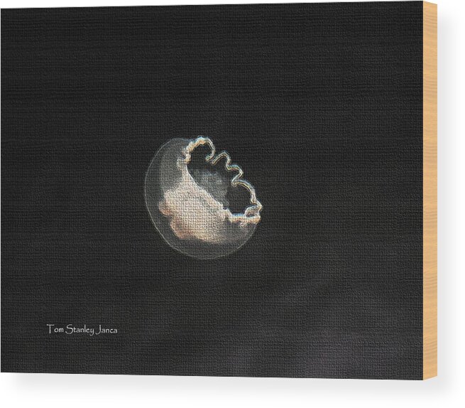 Jelly Fish Swims In The Bay Wood Print featuring the photograph Jelly Fish Swims In The Bay by Tom Janca