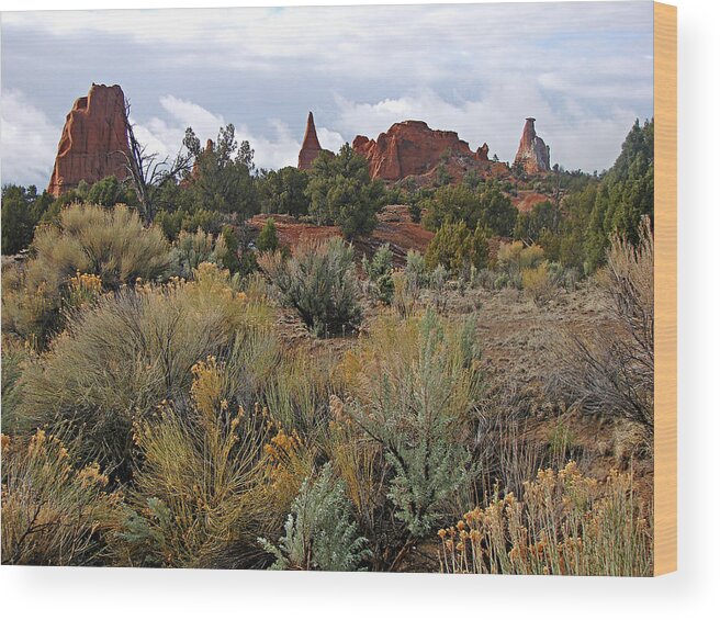 Landscape Wood Print featuring the photograph Kodachrome Basin by Diana Douglass