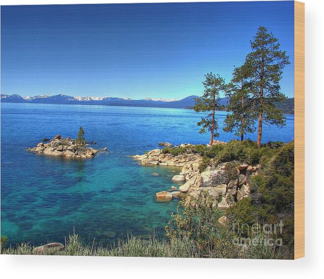 Lake Tahoe State Park Wood Print featuring the photograph Lake Tahoe State Park Nevada by Scott McGuire