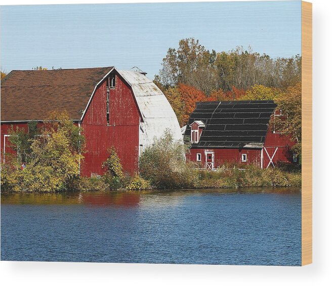 Hovind Wood Print featuring the photograph Lakeside Michigan Farm by Scott Hovind