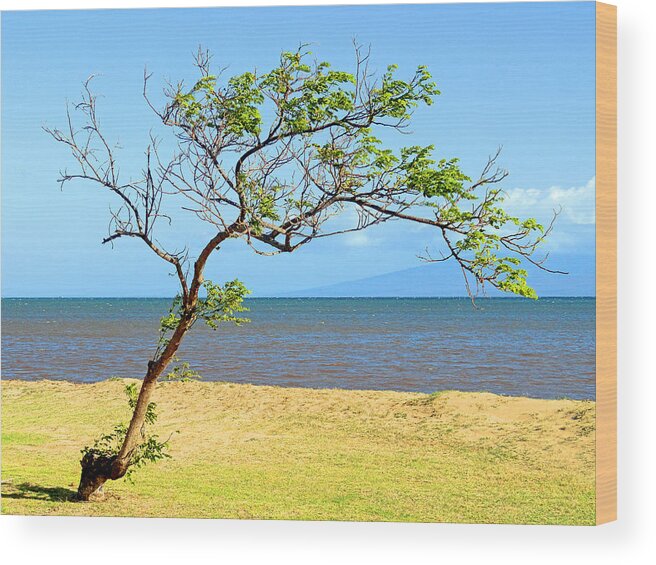 Molokai Wood Print featuring the photograph Lanai Leaning by Robert Meyers-Lussier