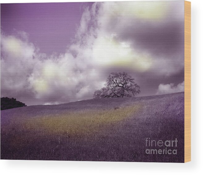 Arastradero Wood Print featuring the photograph Landscape in Purple and Gold by Laura Iverson