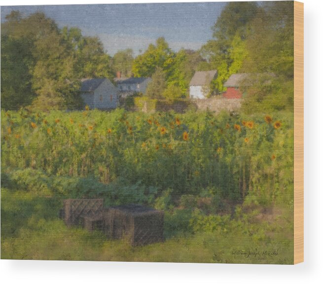 Landscape Wood Print featuring the painting Langwater Farm Sunflowers and Barns by Bill McEntee