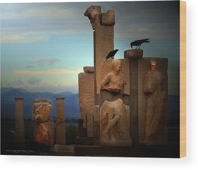 Ephesus Wood Print featuring the photograph Last Dance by Patrick J Osborne