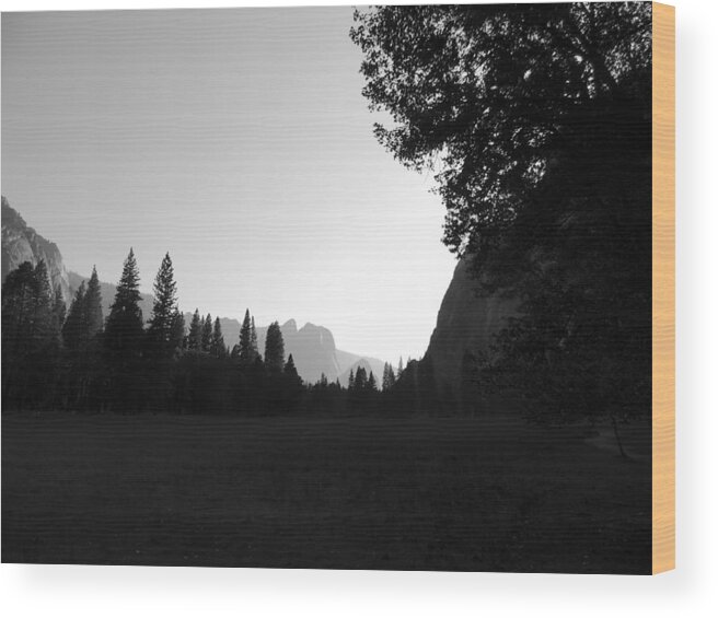 Day Wood Print featuring the photograph Late Day In Yosemite by Eric Forster