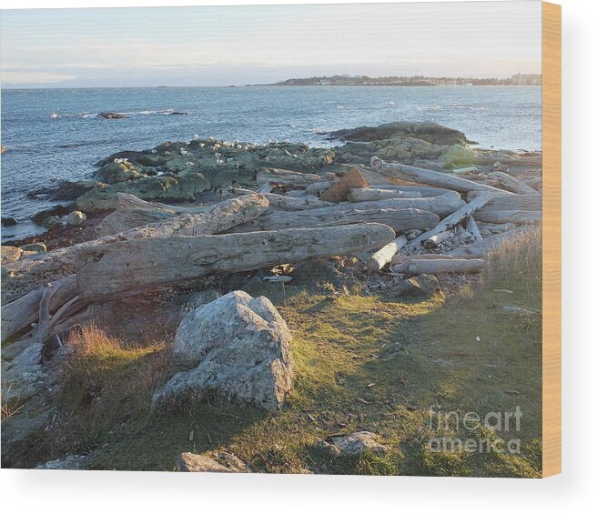 It Was Late Afternoon Standing Out By Cattle Loop Point In Victoria Bc. We Had Just Finished With The Windstorms And Arctic Outflows Leaving Behind Lots For Crafters And Artists To Peruse Through On The Beaches. Wood Print featuring the photograph Late In The Day by Ida Eriksen