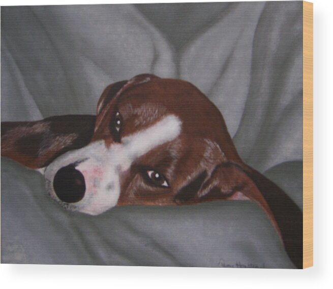 Dog Wood Print featuring the painting Lazy Daisy by Terry Honstead