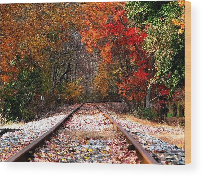 Tracks Wood Print featuring the photograph Lead Me Home by Angela Davies