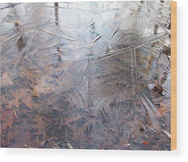 Landscape Water Ice Leaf Puddle Trail Winter Fall Connecticut New England Wood Print featuring the photograph Leafs And Ice by Wolfgang Schweizer