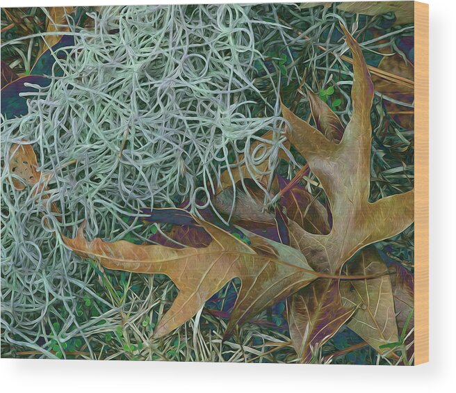 Leaves Wood Print featuring the photograph Leaves and Tendrils by Lynda Lehmann