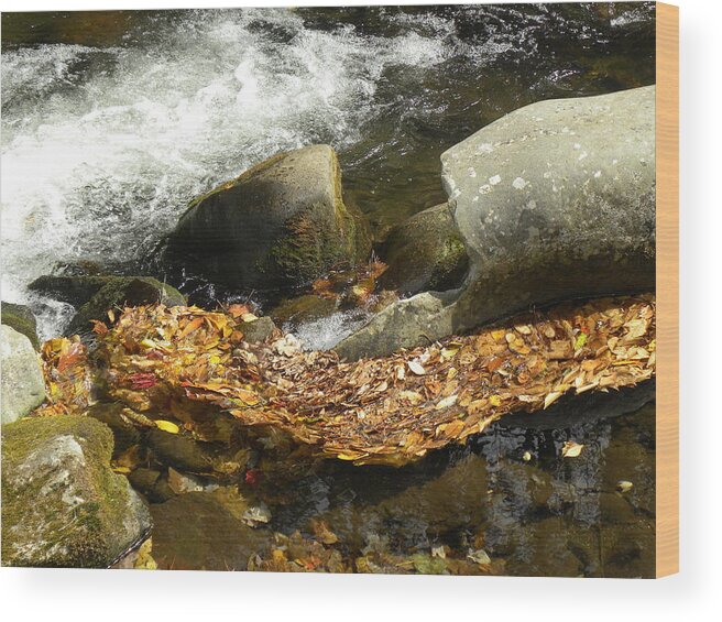 Fall Wood Print featuring the photograph Leaves Flowing-2 by Janet Dickinson