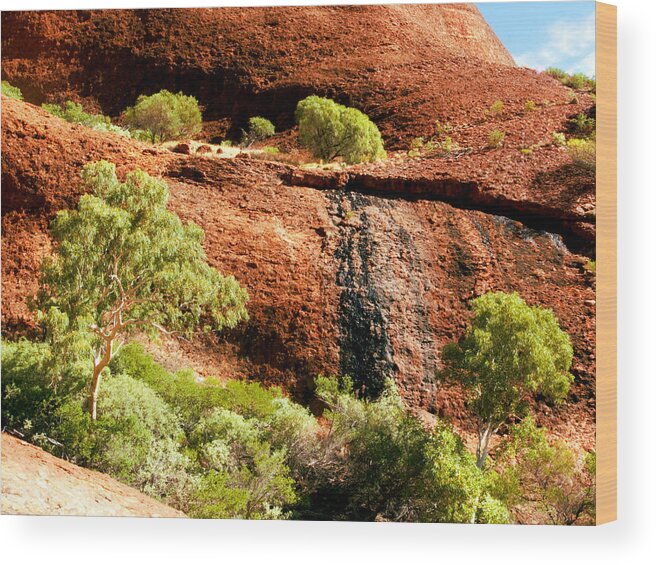 Untamed Northern Territory Series By Lexa Harpell Wood Print featuring the photograph Life in the Rocks of Kata Tjuta by Lexa Harpell