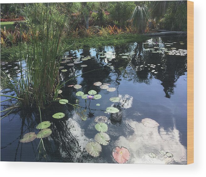 Lily Pads Wood Print featuring the photograph Lily Pads with the Sky Reflecting in the Pond #2 by Susan Grunin