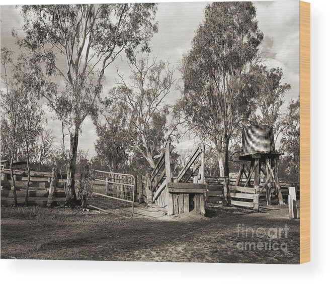 Ramp Wood Print featuring the photograph Loading Ramp by Linda Lees